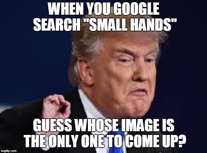 Small Hands | WHEN YOU GOOGLE SEARCH "SMALL HANDS"; GUESS WHOSE IMAGE IS THE ONLY ONE TO COME UP? | image tagged in trump,small hands,politics,google images | made w/ Imgflip meme maker