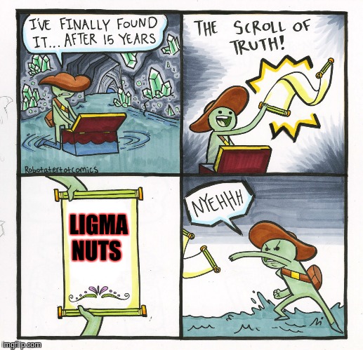 The Scroll Of Truth Meme | LIGMA NUTS | image tagged in memes,the scroll of truth | made w/ Imgflip meme maker