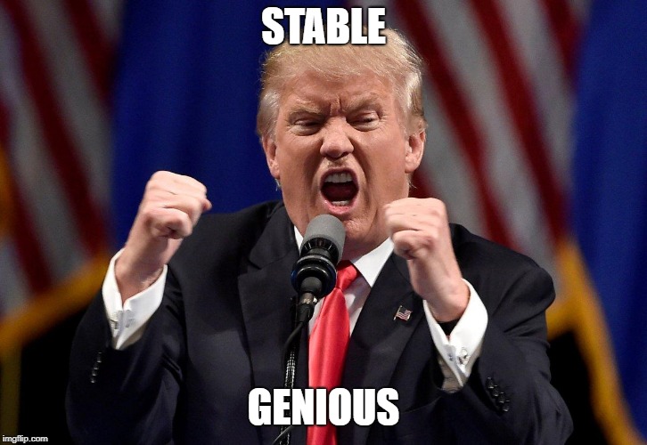 Angry Donald Trump  | STABLE; GENIOUS | image tagged in angry donald trump | made w/ Imgflip meme maker