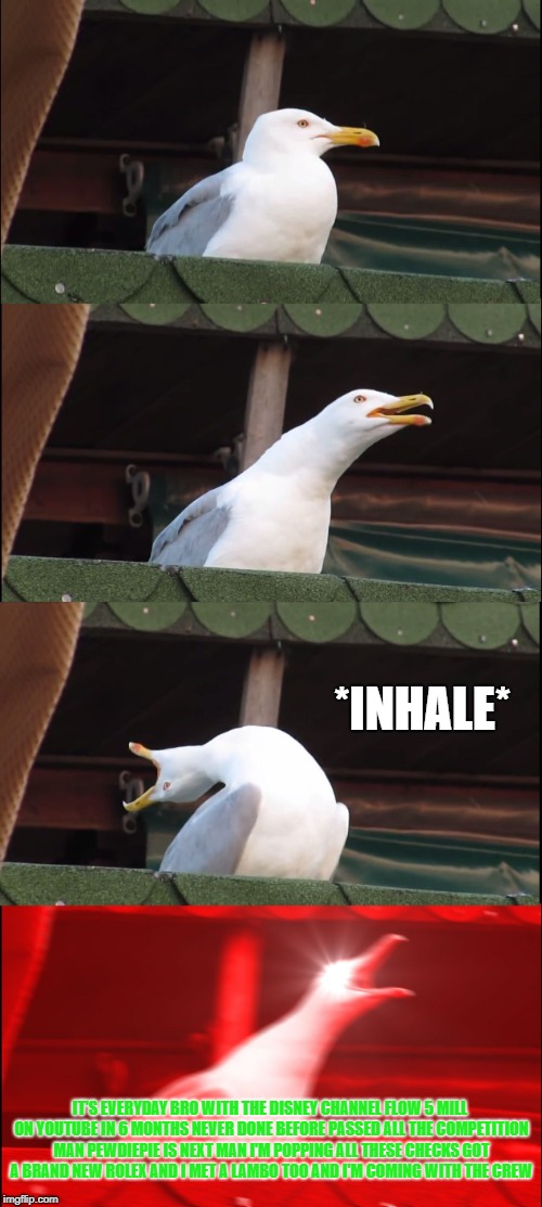 Inhaling Seagull | *INHALE*; IT'S EVERYDAY BRO
WITH THE DISNEY CHANNEL FLOW
5 MILL ON YOUTUBE IN 6 MONTHS
NEVER DONE BEFORE
PASSED ALL THE COMPETITION MAN
PEWDIEPIE IS NEXT
MAN I'M POPPING ALL THESE CHECKS
GOT A BRAND NEW ROLEX
AND I MET A LAMBO TOO
AND I'M COMING WITH THE CREW | image tagged in memes,inhaling seagull,jake paul,it's everyday bro | made w/ Imgflip meme maker