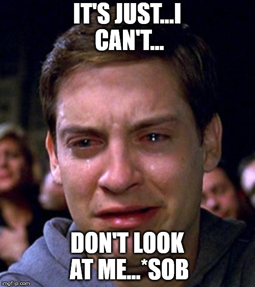 crying peter parker | IT'S JUST...I CAN'T... DON'T LOOK AT ME...*SOB | image tagged in crying peter parker | made w/ Imgflip meme maker