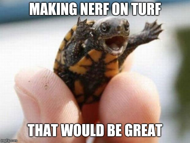 happy baby turtle | MAKING NERF ON TURF THAT WOULD BE GREAT | image tagged in happy baby turtle | made w/ Imgflip meme maker