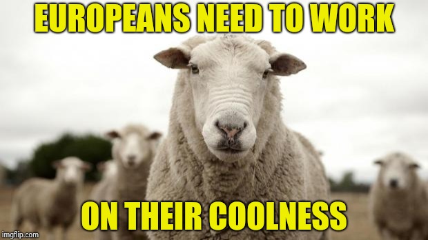 Sheep | EUROPEANS NEED TO WORK ON THEIR COOLNESS | image tagged in sheep | made w/ Imgflip meme maker