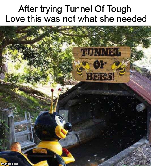 Tunnel Of Bees | After trying Tunnel Of Tough Love this was not what she needed | image tagged in amusement park,kids,bees | made w/ Imgflip meme maker