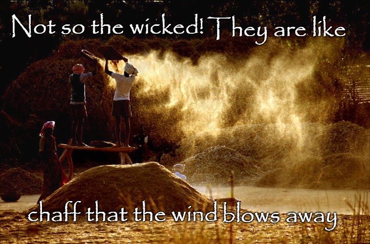 Psalms 1:4 The Chaff that the Wind Blows Away | They are like; Not so the wicked! blows away; chaff that the wind | image tagged in bible,bible verse,holy spirit,verse,lord | made w/ Imgflip meme maker