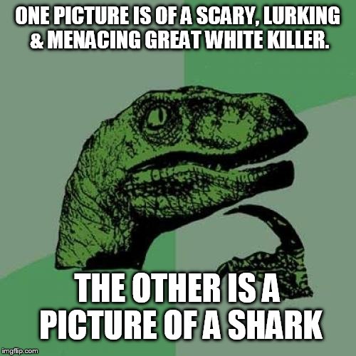 Philosoraptor Meme | ONE PICTURE IS OF A SCARY, LURKING & MENACING GREAT WHITE KILLER. THE OTHER IS A PICTURE OF A SHARK | image tagged in memes,philosoraptor | made w/ Imgflip meme maker