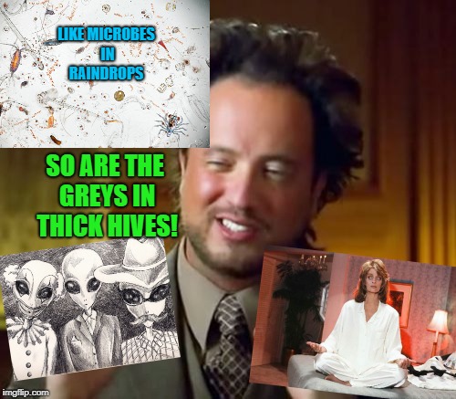 Ancient Aliens Meme | LIKE MICROBES IN RAINDROPS; SO ARE THE GREYS IN THICK HIVES! | image tagged in memes,ancient aliens | made w/ Imgflip meme maker