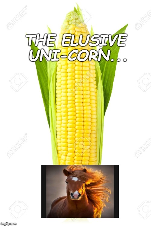 Memes, Corn | THE ELUSIVE UNI-CORN... | image tagged in memes corn | made w/ Imgflip meme maker