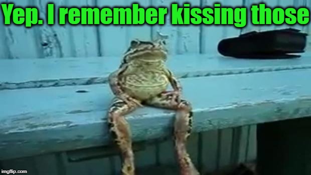 toad | Yep. I remember kissing those | image tagged in toad | made w/ Imgflip meme maker