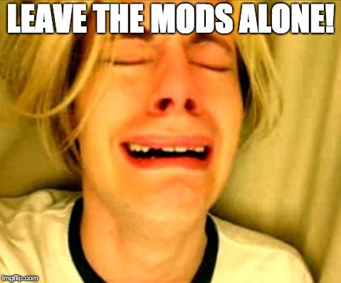 Leave Britney Alone | LEAVE THE MODS ALONE! | image tagged in leave britney alone | made w/ Imgflip meme maker