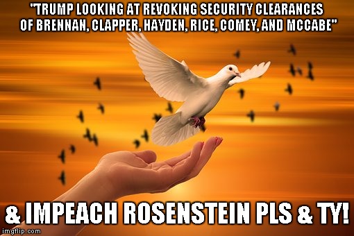 Dove of Peace | "TRUMP LOOKING AT REVOKING SECURITY CLEARANCES OF BRENNAN, CLAPPER, HAYDEN, RICE, COMEY, AND MCCABE"; & IMPEACH ROSENSTEIN PLS & TY! | image tagged in dove of peace | made w/ Imgflip meme maker