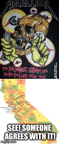 The shortest straw has been pulled for you... by California... | SEE! SOMEONE AGREES WITH IT! | image tagged in memes,straws,california | made w/ Imgflip meme maker