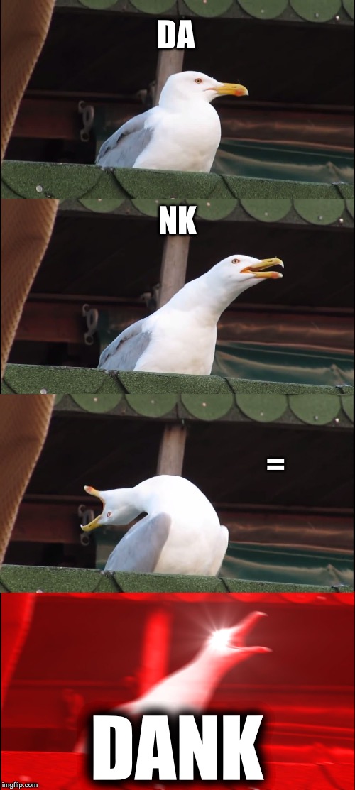 Inhaling Seagull Meme | DA NK = DANK | image tagged in memes,inhaling seagull | made w/ Imgflip meme maker