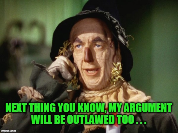 NEXT THING YOU KNOW, MY ARGUMENT WILL BE OUTLAWED TOO . . . | image tagged in straws,strawman,argument,california,ridiculous,free speech | made w/ Imgflip meme maker