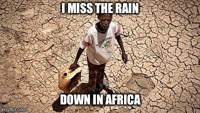 The real Toto | I MISS THE RAIN; DOWN IN AFRICA | image tagged in toto,africa | made w/ Imgflip meme maker