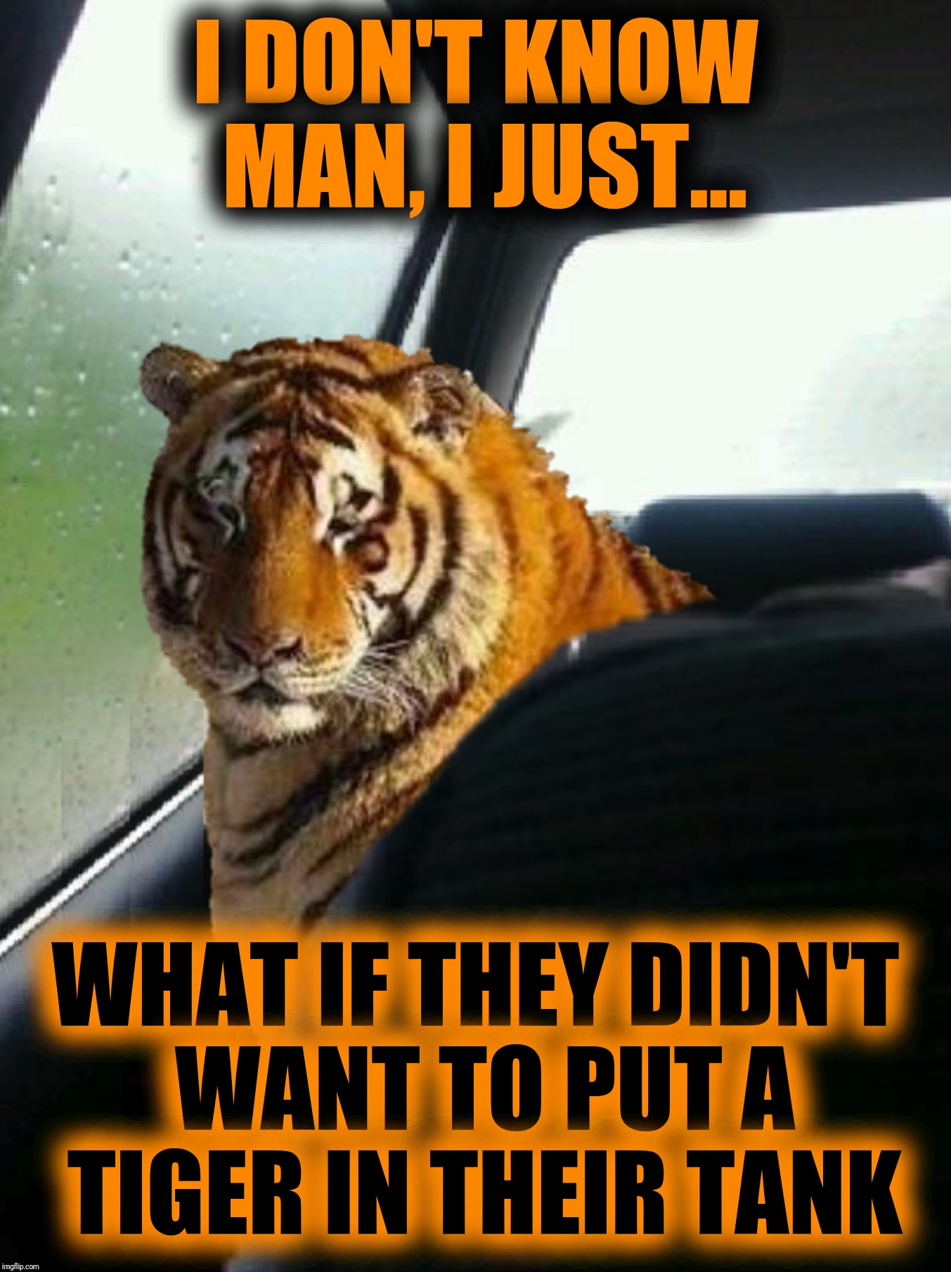 Introspective Tiger is having second thoughts... Tiger Week Jul 29 - Aug 5, A TigerLegend1046 event | I DON'T KNOW MAN, I JUST... WHAT IF THEY DIDN'T WANT TO PUT A TIGER IN THEIR TANK | image tagged in introspective tiger,esso,vintage ads,tiger week,tiger week 2018,tigerlegend1046 | made w/ Imgflip meme maker