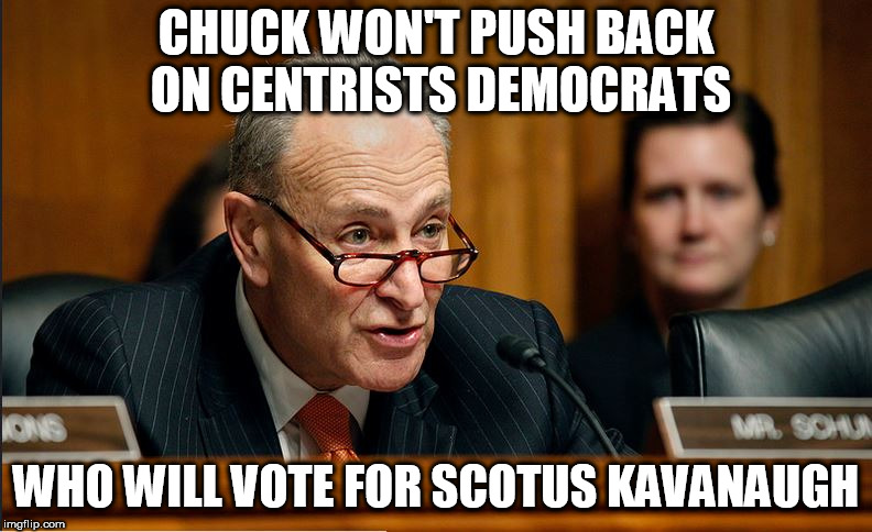 Spineless Dems Leader Caves To DINOs | CHUCK WON'T PUSH BACK ON CENTRISTS DEMOCRATS; WHO WILL VOTE FOR SCOTUS KAVANAUGH | image tagged in democrats,democratic party,scotus,chuck schumer,joe manchin,brett kavanaugh | made w/ Imgflip meme maker