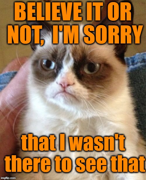 Grumpy Cat Meme | BELIEVE IT OR NOT,  I'M SORRY that I wasn't there to see that | image tagged in memes,grumpy cat | made w/ Imgflip meme maker