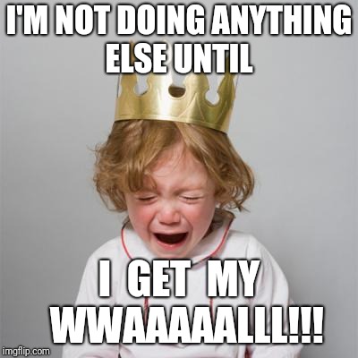 I'M NOT DOING ANYTHING ELSE UNTIL; I  GET  MY  WWAAAAALLL!!! | image tagged in tantrum | made w/ Imgflip meme maker