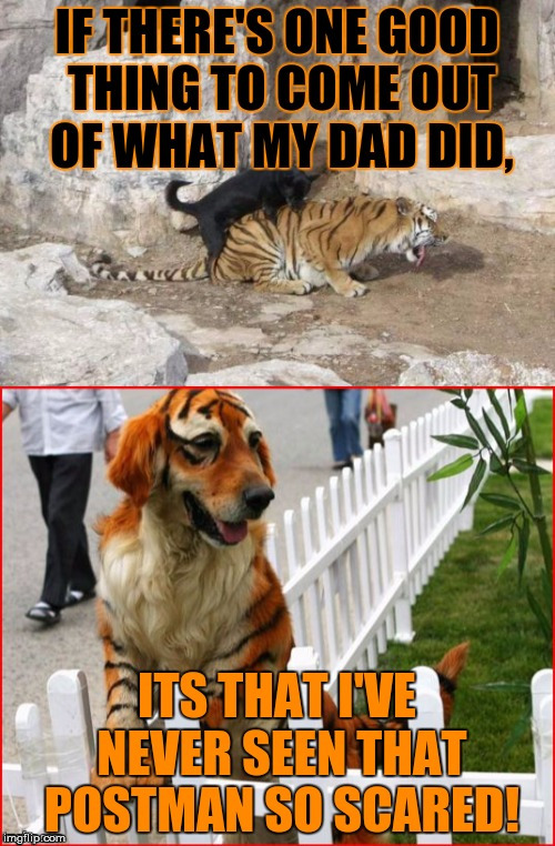Dad's courage - Tiger Week 2018, July 29 - August 5, a TigerLegend1046 event | G | image tagged in memes,tiger week,tiger week 2018,tigerlegend1046,dog,postman | made w/ Imgflip meme maker
