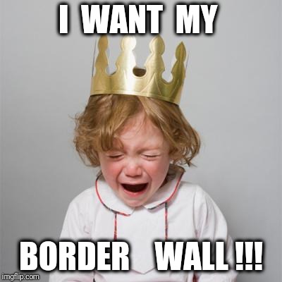 Waaahhhhhh...... | I  WANT  MY; BORDER    WALL !!! | image tagged in waaahhhhhh | made w/ Imgflip meme maker