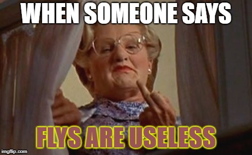 Mrs Doubtfire | WHEN SOMEONE SAYS; FLYS ARE USELESS | image tagged in mrs doubtfire | made w/ Imgflip meme maker