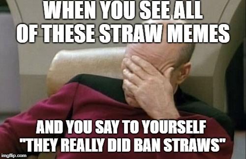 Captain Picard Facepalm Meme | WHEN YOU SEE ALL OF THESE STRAW MEMES; AND YOU SAY TO YOURSELF ''THEY REALLY DID BAN STRAWS" | image tagged in memes,captain picard facepalm | made w/ Imgflip meme maker