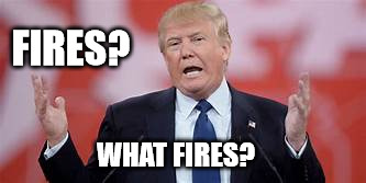 Fires | FIRES? WHAT FIRES? | image tagged in trump fires devastatiom | made w/ Imgflip meme maker