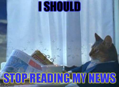 I Should Buy A Boat Cat Meme | I SHOULD; STOP READING MY NEWS | image tagged in memes,i should buy a boat cat | made w/ Imgflip meme maker