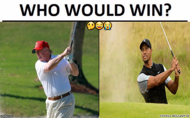 🤔😂😭 | image tagged in who would win golf | made w/ Imgflip meme maker