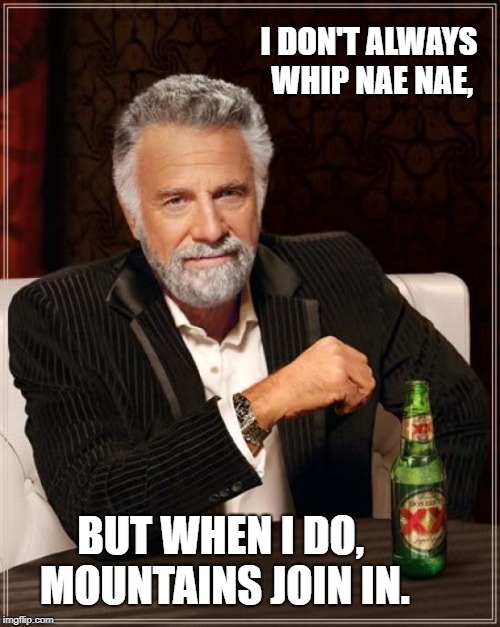 The Most Interesting Man In The World | I DON'T ALWAYS WHIP NAE NAE, BUT WHEN I DO, MOUNTAINS JOIN IN. | image tagged in memes,the most interesting man in the world | made w/ Imgflip meme maker