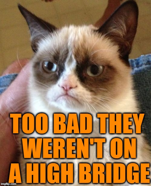 Grumpy Cat Meme | TOO BAD THEY WEREN'T ON A HIGH BRIDGE | image tagged in memes,grumpy cat | made w/ Imgflip meme maker