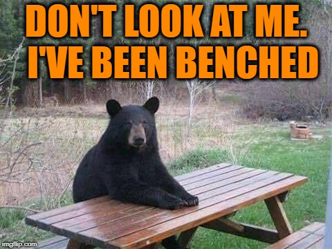 Bear sitting at picnic table | DON'T LOOK AT ME.  I'VE BEEN BENCHED | image tagged in bear sitting at picnic table | made w/ Imgflip meme maker