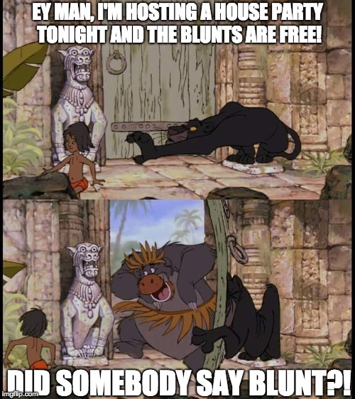 The Jungle Book | EY MAN, I'M HOSTING A HOUSE PARTY TONIGHT AND THE BLUNTS ARE FREE! DID SOMEBODY SAY BLUNT?! | image tagged in the jungle book | made w/ Imgflip meme maker
