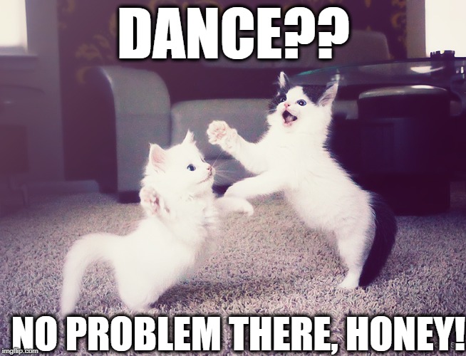 DANCE?? NO PROBLEM THERE, HONEY! | made w/ Imgflip meme maker