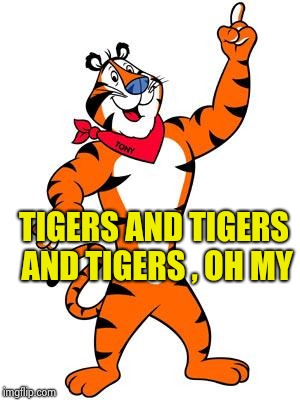 Tony the tiger | TIGERS AND TIGERS AND TIGERS , OH MY | image tagged in tony the tiger | made w/ Imgflip meme maker