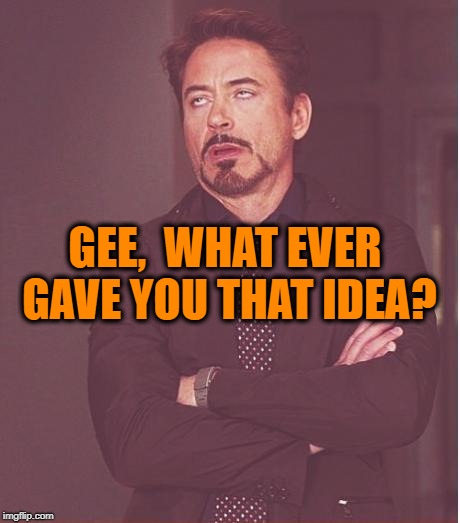 Face You Make Robert Downey Jr Meme | GEE,  WHAT EVER GAVE YOU THAT IDEA? | image tagged in memes,face you make robert downey jr | made w/ Imgflip meme maker