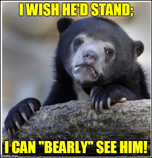 I WISH HE'D STAND; I CAN "BEARLY" SEE HIM! | made w/ Imgflip meme maker