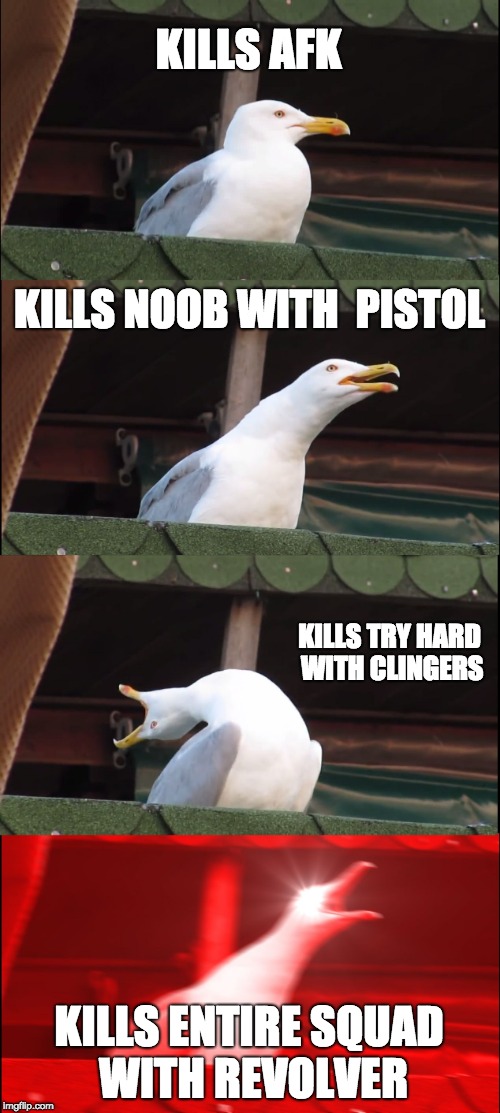 Inhaling Seagull | KILLS AFK; KILLS NOOB WITH  PISTOL; KILLS TRY HARD WITH CLINGERS; KILLS ENTIRE SQUAD WITH REVOLVER | image tagged in memes,inhaling seagull | made w/ Imgflip meme maker