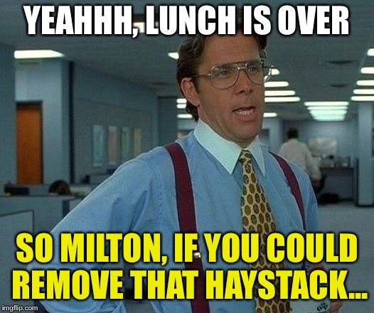 That Would Be Great Meme | YEAHHH, LUNCH IS OVER SO MILTON, IF YOU COULD REMOVE THAT HAYSTACK... | image tagged in memes,that would be great | made w/ Imgflip meme maker