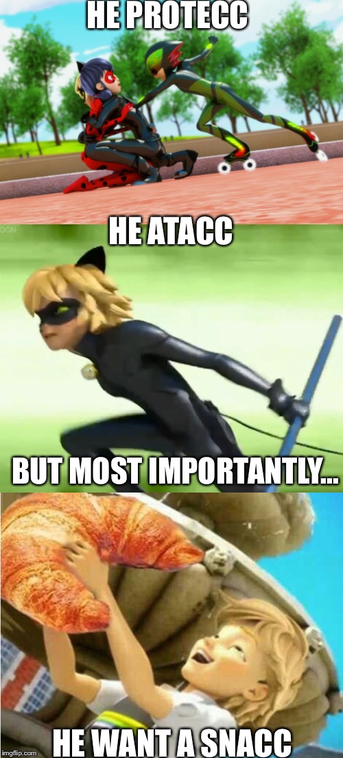 Cat Noir meme | HE PROTECC; HE ATACC; BUT MOST IMPORTANTLY... HE WANT A SNACC | image tagged in cat noir,chat noir,miraculous ladybug | made w/ Imgflip meme maker