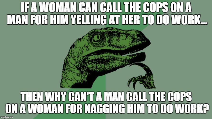Philosophy Dinosaur | IF A WOMAN CAN CALL THE COPS ON A MAN FOR HIM YELLING AT HER TO DO WORK... THEN WHY CAN'T A MAN CALL THE COPS ON A WOMAN FOR NAGGING HIM TO DO WORK? | image tagged in philosophy dinosaur | made w/ Imgflip meme maker