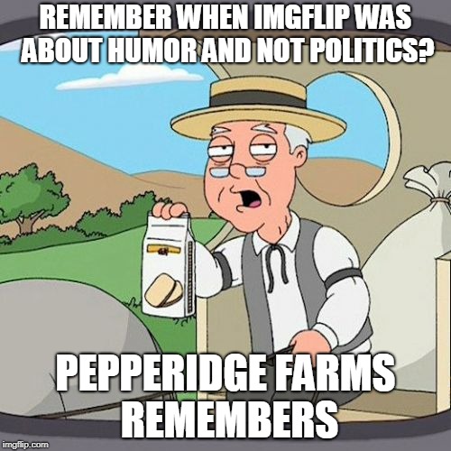 Pepperidge Farm Remembers Meme | REMEMBER WHEN IMGFLIP WAS ABOUT HUMOR AND NOT POLITICS? PEPPERIDGE FARMS REMEMBERS | image tagged in memes,pepperidge farm remembers | made w/ Imgflip meme maker
