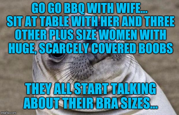 They were killing me lmao. Thank goodness I had my phone and imgflip to distract me from it  | GO GO BBQ WITH WIFE... SIT AT TABLE WITH HER AND THREE OTHER PLUS SIZE WOMEN WITH HUGE, SCARCELY COVERED BOOBS; THEY ALL START TALKING ABOUT THEIR BRA SIZES... | image tagged in memes,awkward moment sealion,jbmemegeek,awkward moment | made w/ Imgflip meme maker