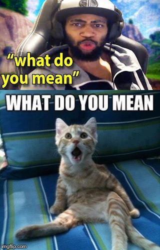 Proof that daequan is a cat | image tagged in fortnite,cat memes,what do you mean | made w/ Imgflip meme maker