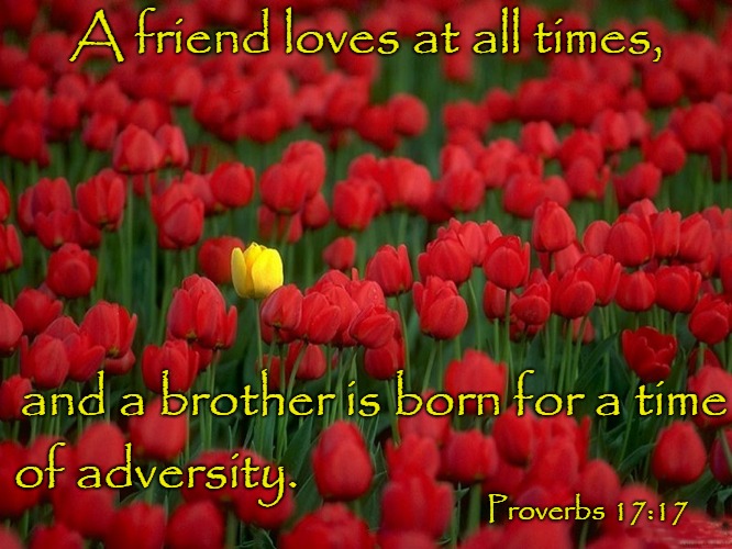 Proverbs 17:17 A Friend Loves at All Times | A friend loves at all times, and a brother is born for a time; of adversity. Proverbs 17:17 | image tagged in bible,holy bible,bible verse,holy spirit,verse,jesus | made w/ Imgflip meme maker