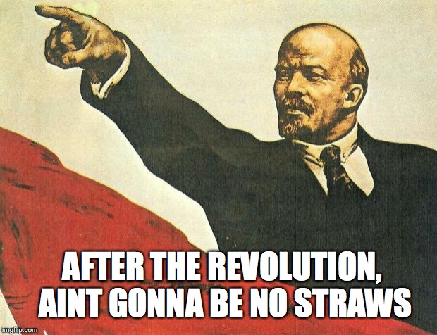...you're a communist | AFTER THE REVOLUTION, AINT GONNA BE NO STRAWS | image tagged in you're a communist | made w/ Imgflip meme maker