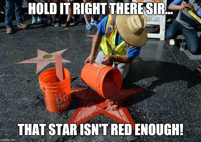 Not RED enough! | HOLD IT RIGHT THERE SIR... THAT STAR ISN'T RED ENOUGH! | image tagged in maga,donald trump,potus,triggered liberal | made w/ Imgflip meme maker