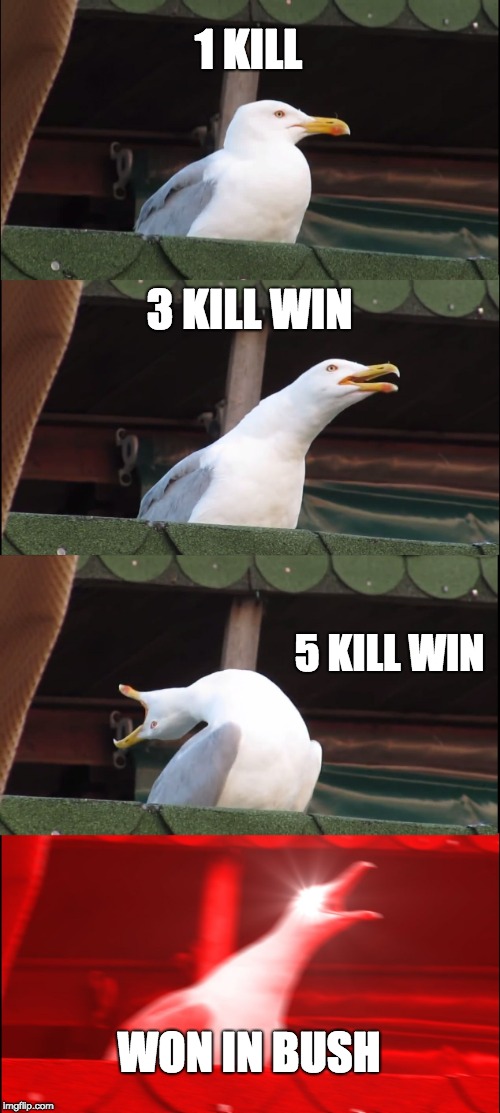 Inhaling Seagull Meme | 1 KILL; 3 KILL WIN; 5 KILL WIN; WON IN BUSH | image tagged in memes,inhaling seagull | made w/ Imgflip meme maker