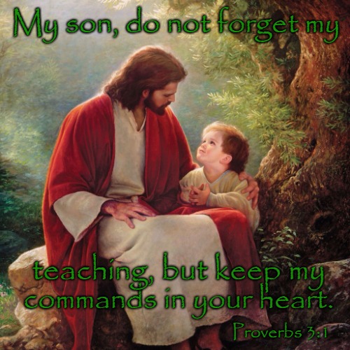 Proverbs 3:1 Do Not Forget My Teaching | My son, do not forget my; teaching, but keep my; commands in your heart. Proverbs 3:1 | image tagged in bible,bible verse,holy bible,jesus,verse,holy spirit | made w/ Imgflip meme maker
